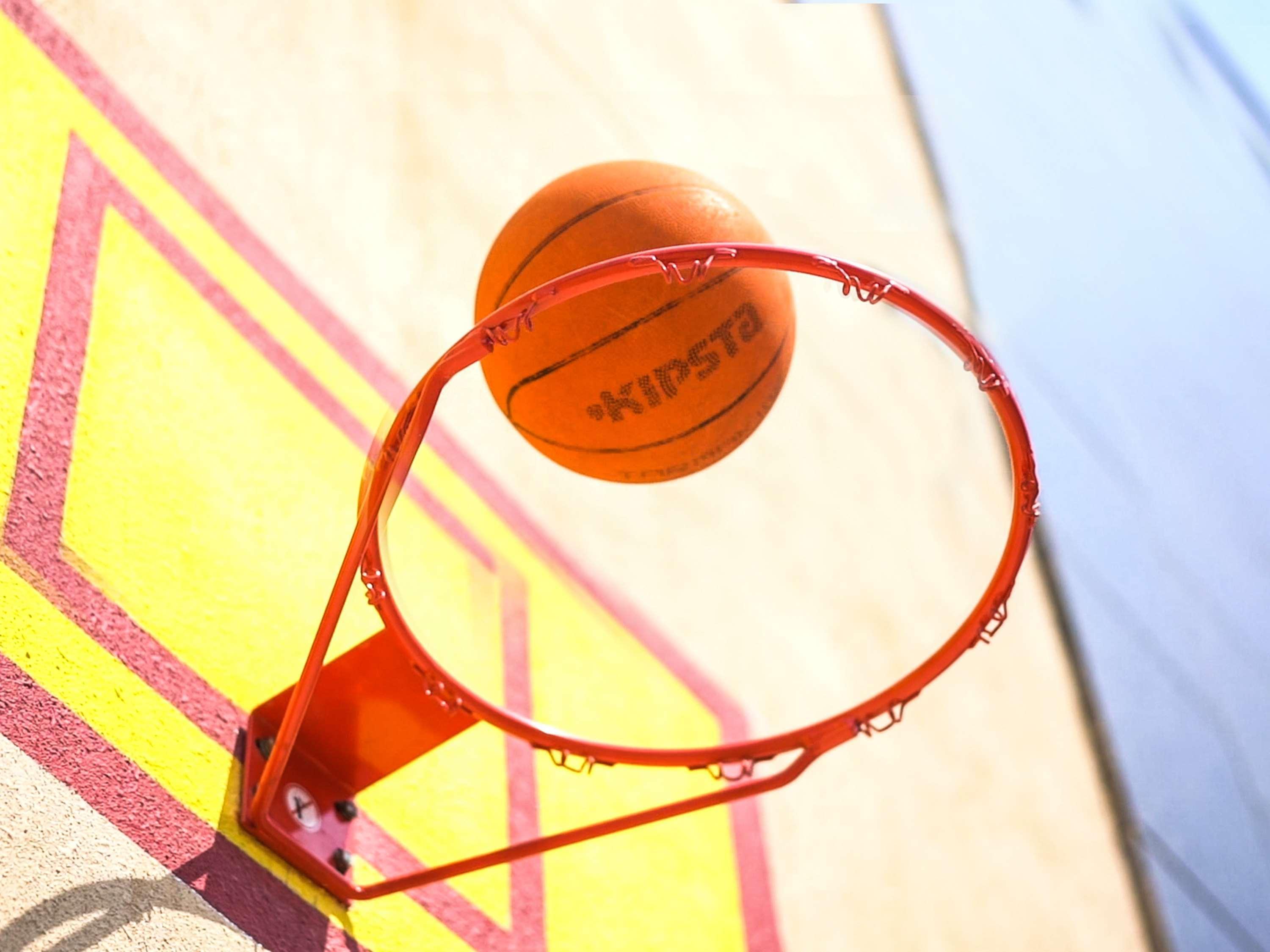 Novotel Chennai Sipcot Exteriör bild A basketball entering a hoop