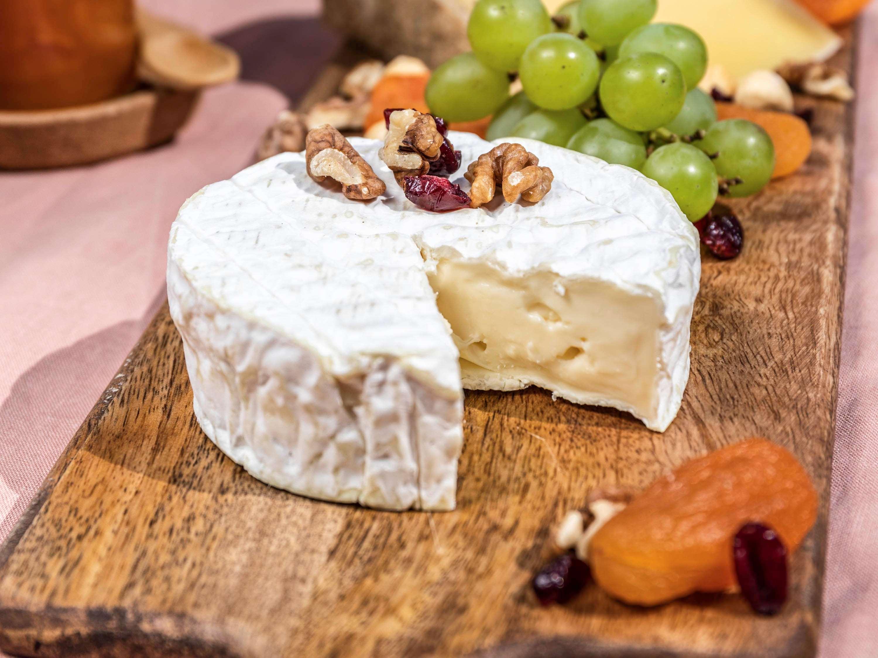 Novotel Chennai Sipcot Exteriör bild Camembert cheese