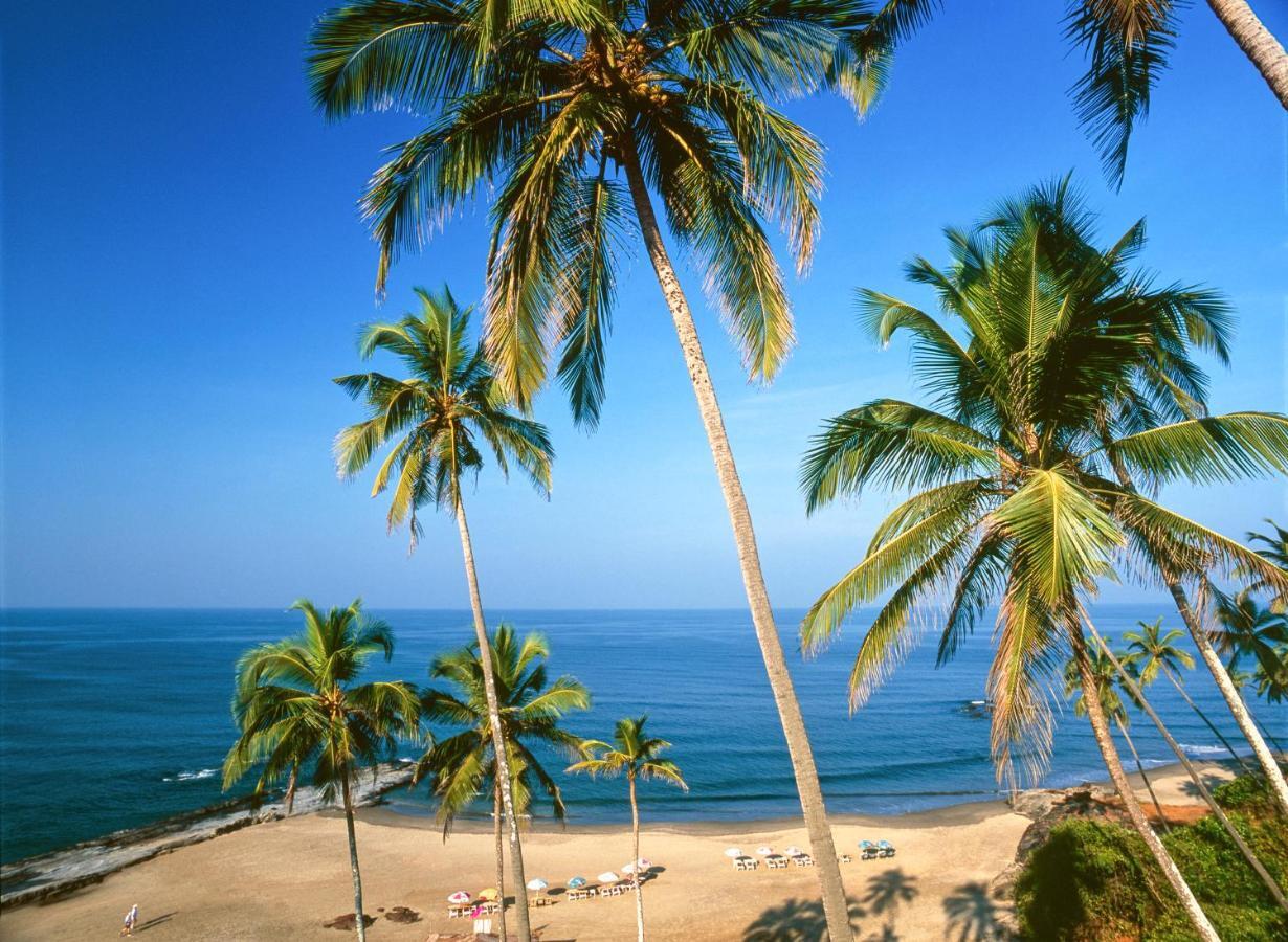Novotel Chennai Sipcot Exteriör bild Beach in Calangute